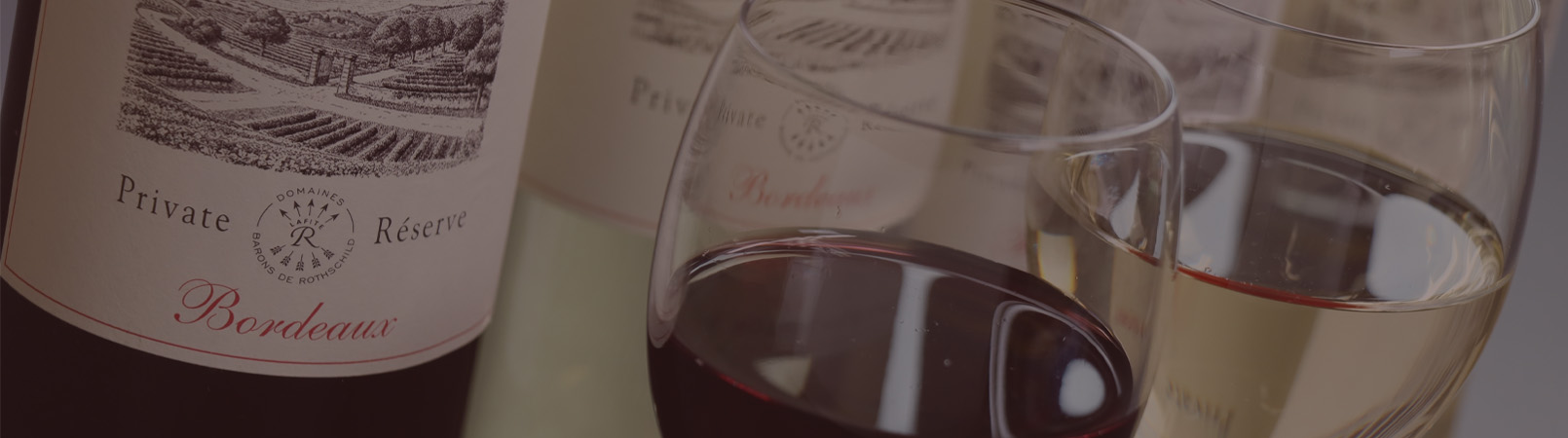 信州の地酒とワイン